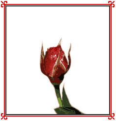 ouvre toi